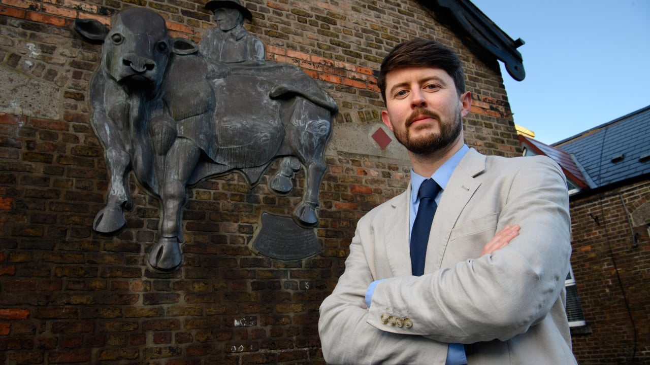 UCC researcher to investigate the rise of commercial cattle farming in Europe