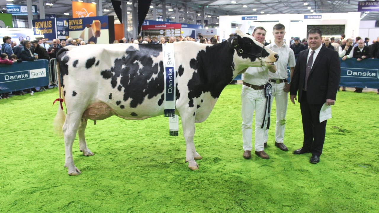 RUAS launches All Ireland ‘On-Farm Winter Fair Challenge’