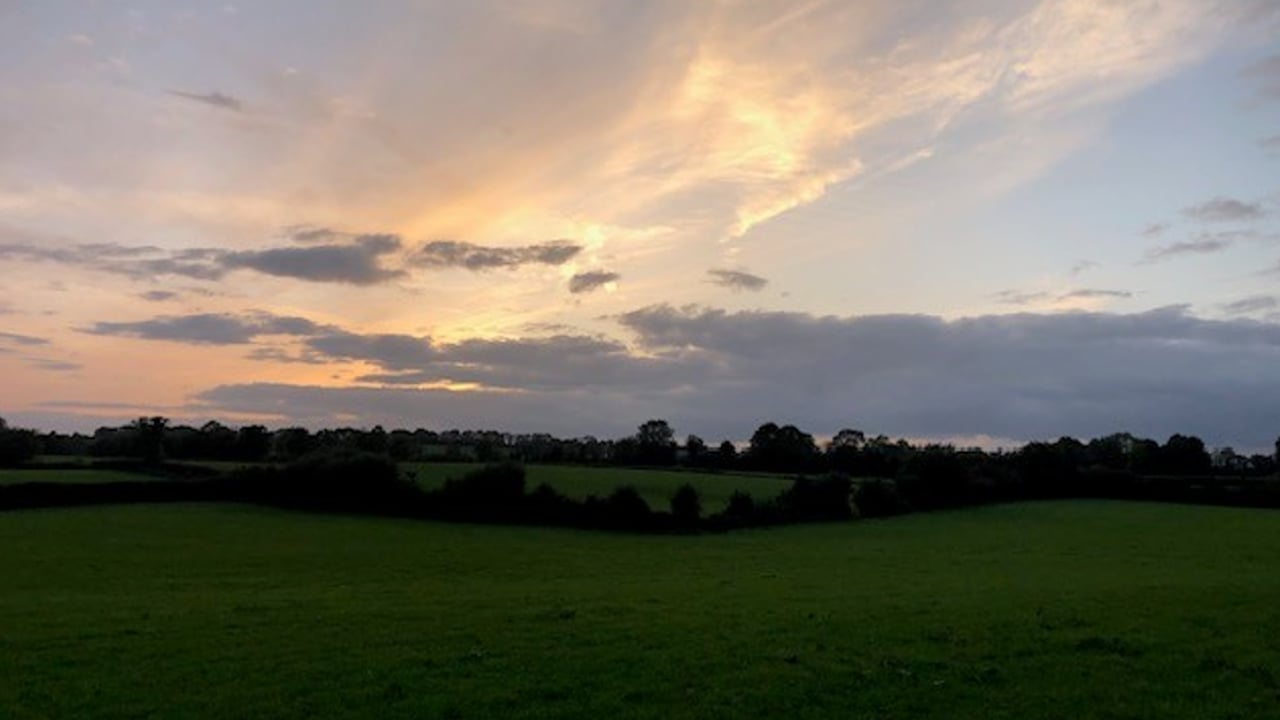 Mercosur deal labelled as ‘serious threat’ to NI agri-food sector