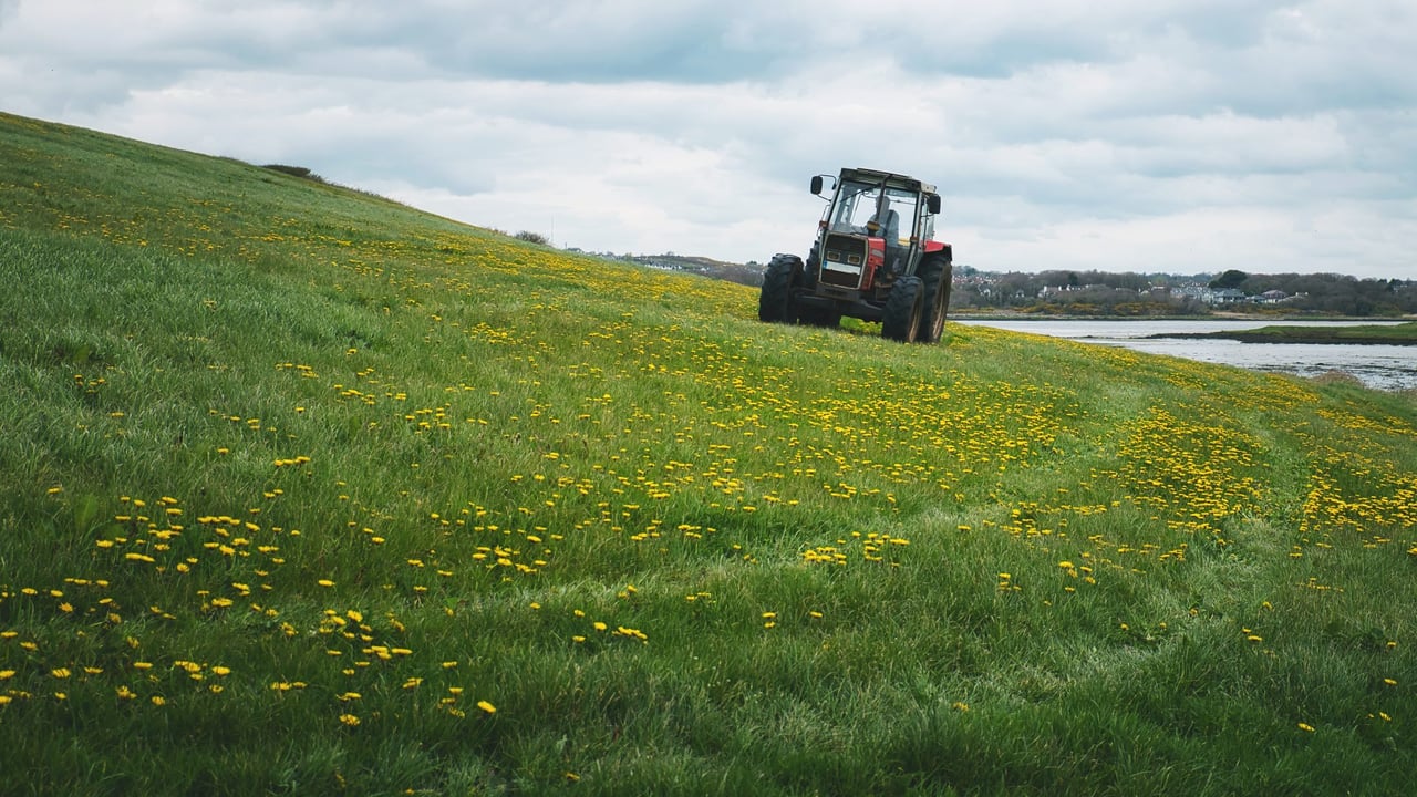 Project on agriculture GHG emissions secures over £5m in funding