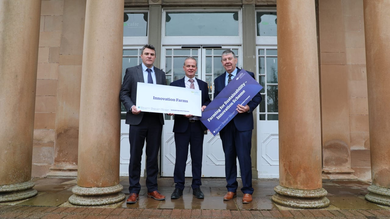 NI beef and dairy farmers sought for CAFRE ‘Innovation Farms project