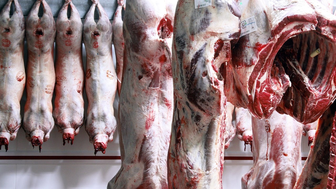 New sheep carcass rules to ‘deliver fairer prices for farmers’ – Defra