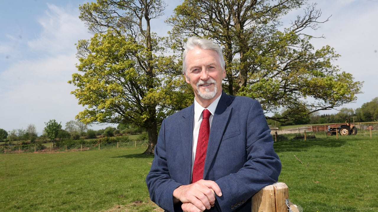 Welsh government announces ‘enhanced grants’ for early tree planting