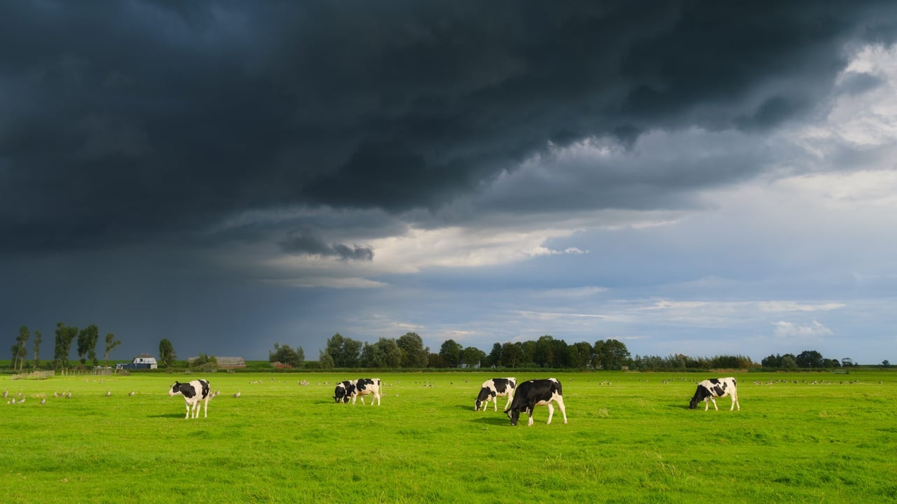 NI farmers warned on mineral loss after ‘wettest start in nearly 150 years’