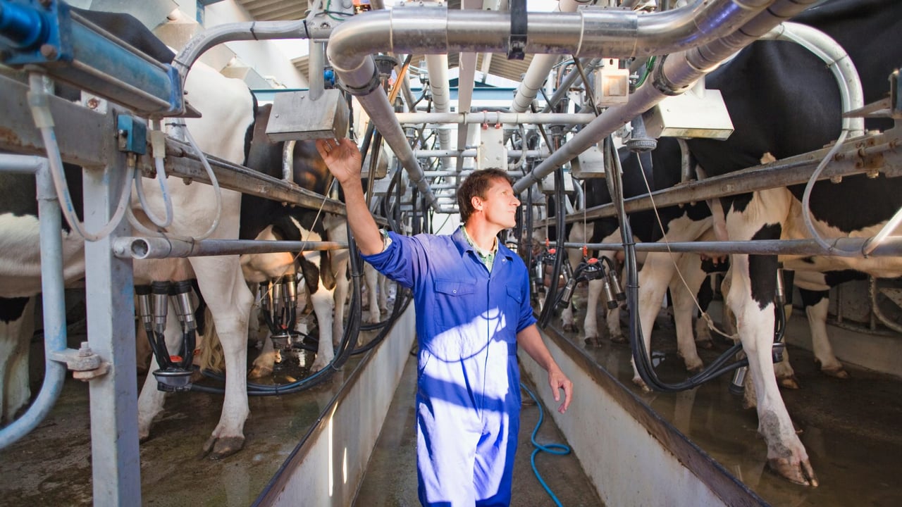 Why Dale Farm and Aurivo pulled the plug on merger talks