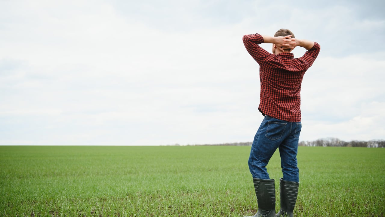 Farmers left without SFI funding urged to assess all their options