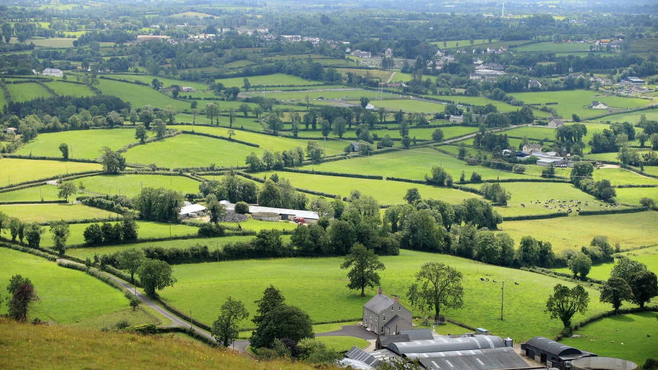 DAERA opens regional food programme for applications