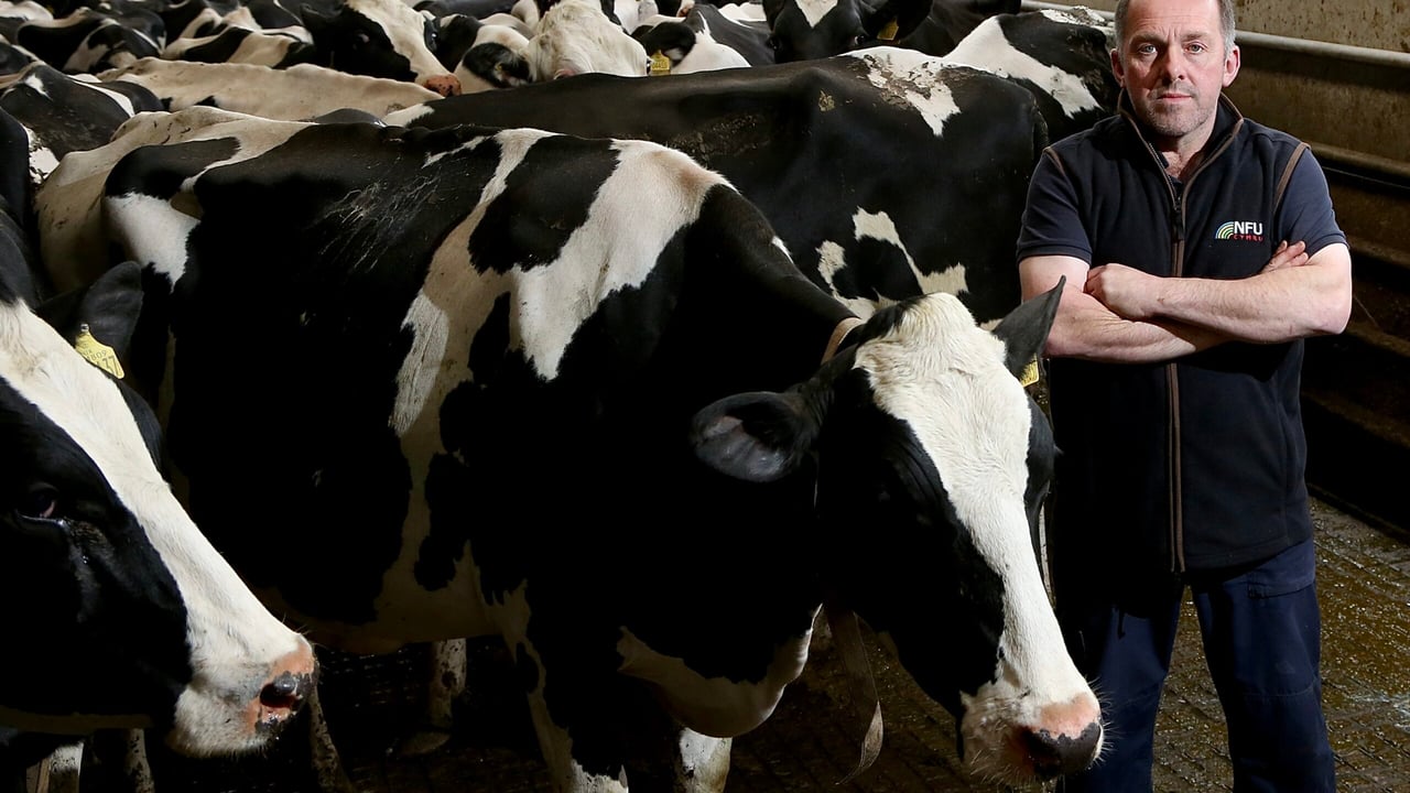 NFU: Next Welsh govt ‘must give hope’ of a future without bTB