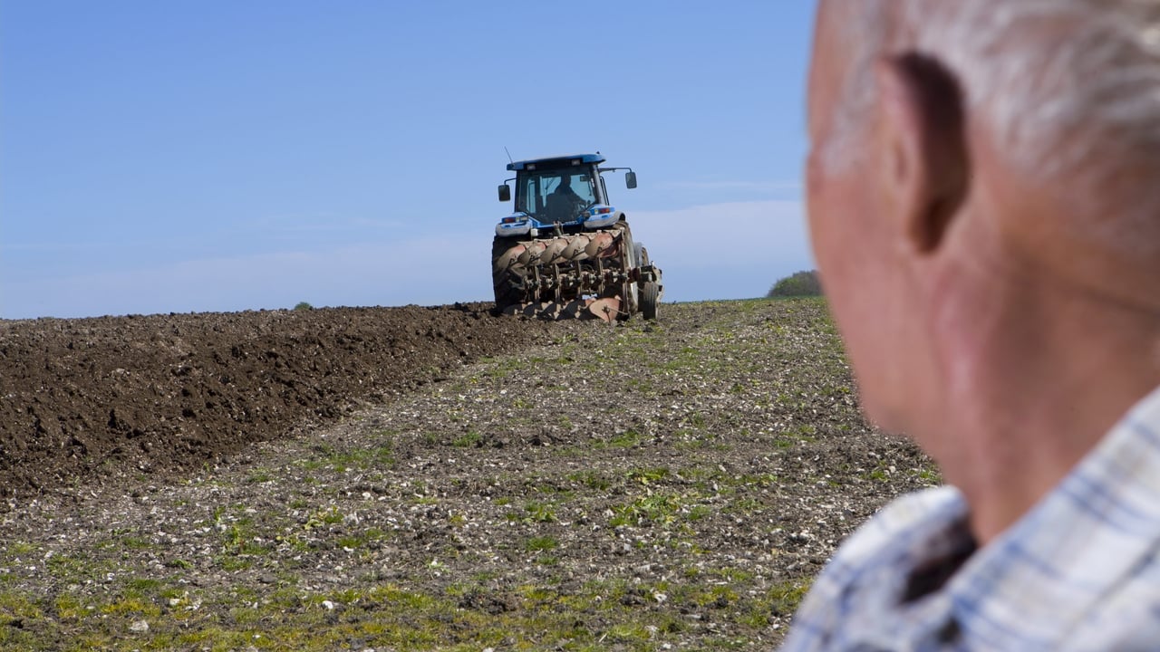 86% of British farmers see ‘policy uncertainty’ affecting profits