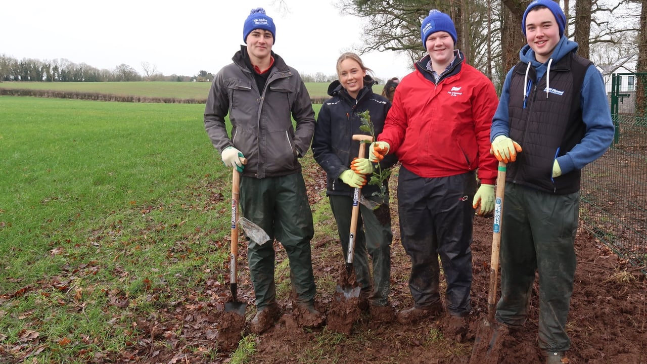 CAFRE celebrating farms’ ‘working assets’ for National Hedgerow Week
