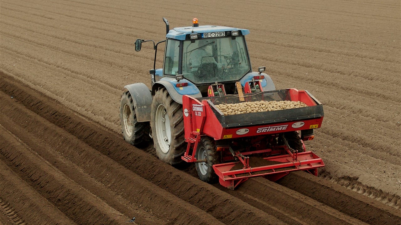 Mixed outlook for GB crops as barley area falls