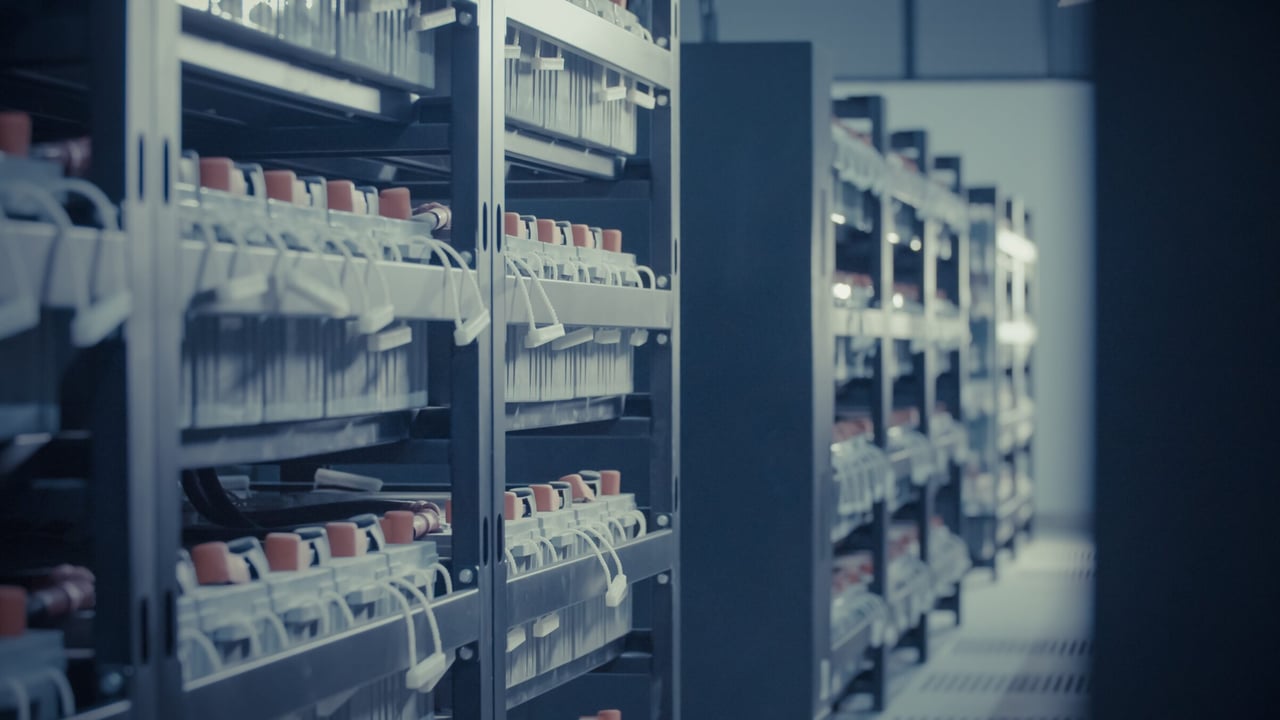 ‘Agricultural land should not be lost’ for data centres – NFU Scotland