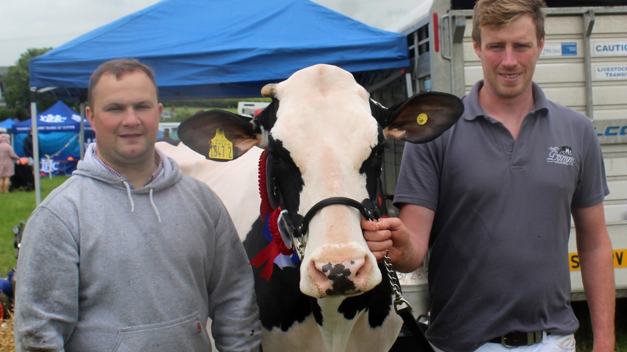 ‘Outstanding’ young dairy cow comes to fore at Newry Show 2026