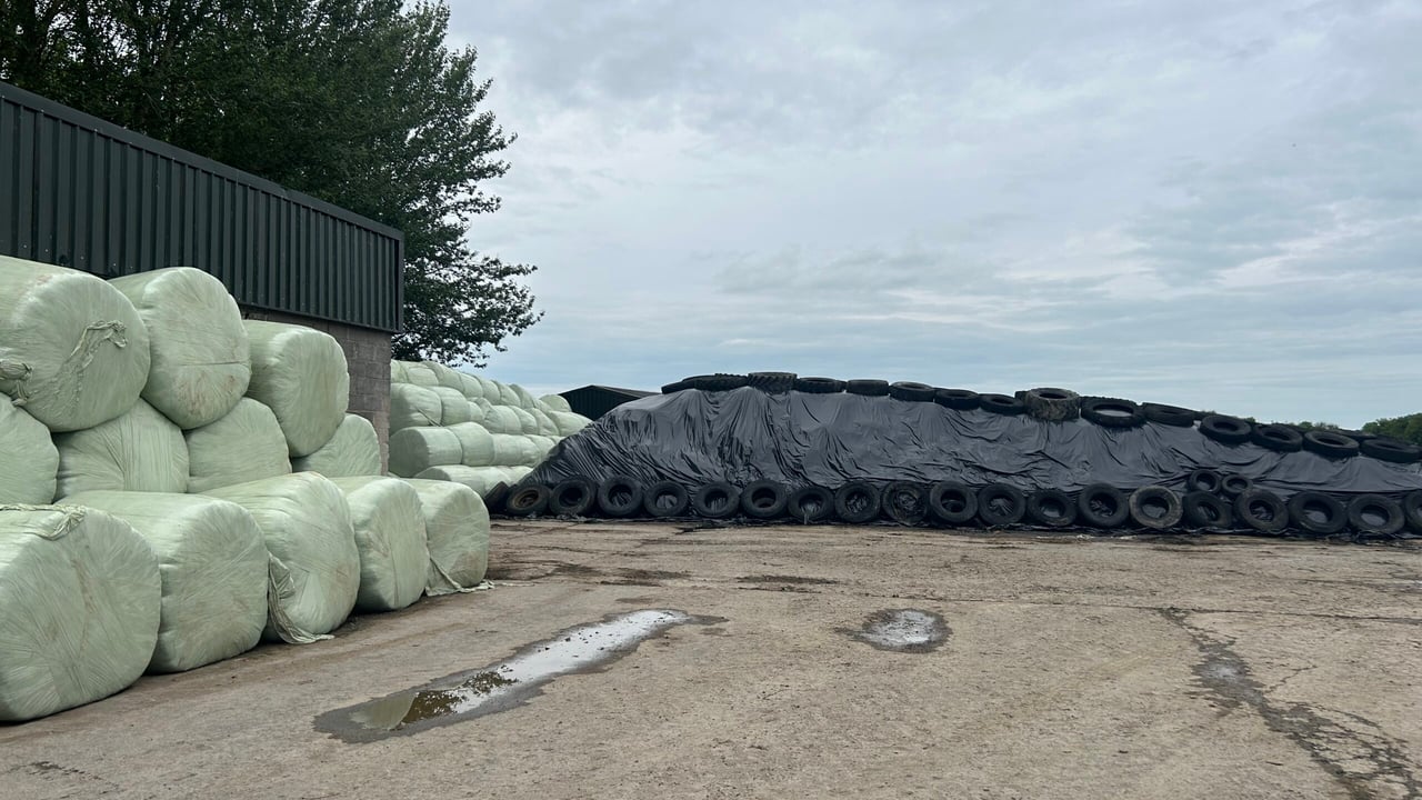 The influence of first cut silage test results