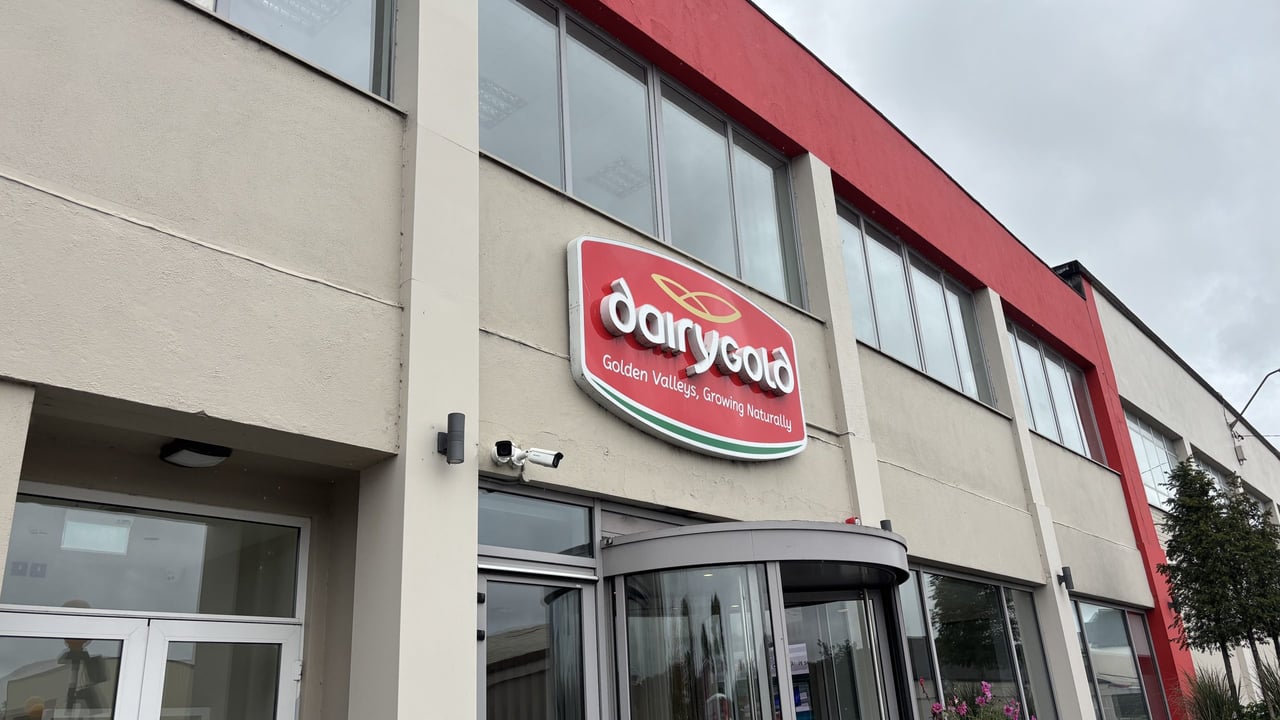Dairygold’s UK cheese business faces sale and closure