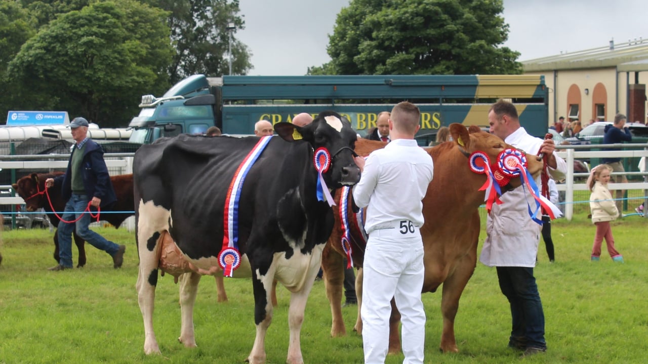 Six-in-a row for Crawford family at Omagh