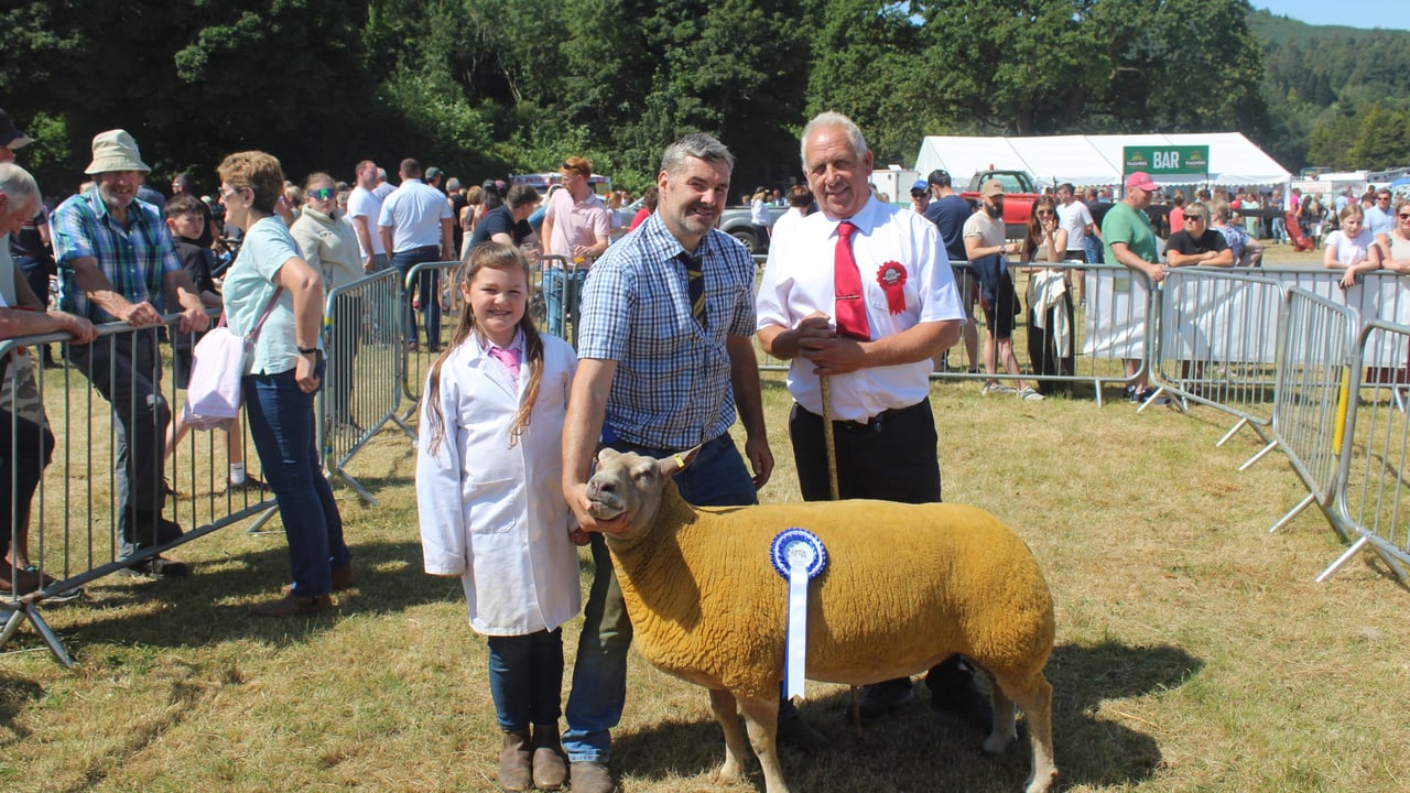 Lamb markets ‘counterproductive’ to building future for sector