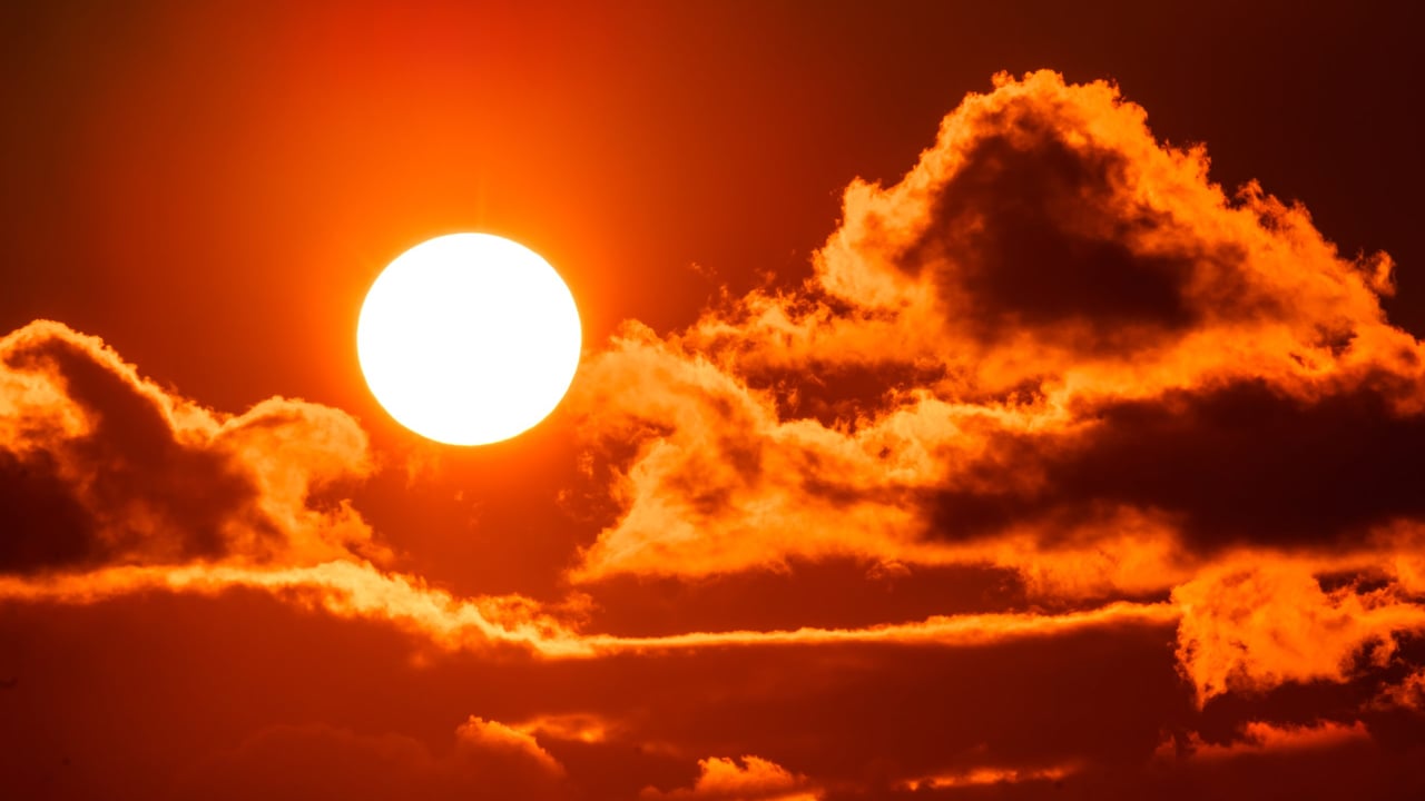 Extreme heat driving ‘significant’ farm productivity losses – report