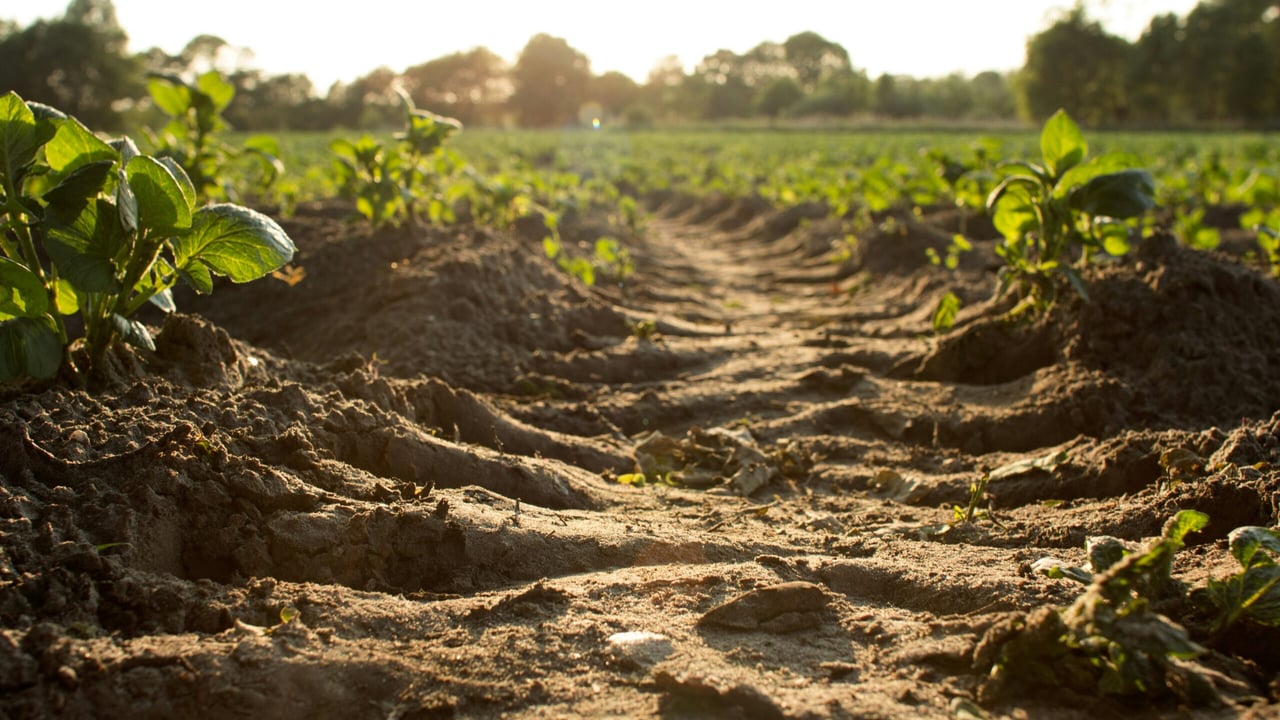 Soil Nutrient Health Scheme final phase opening date confirmed