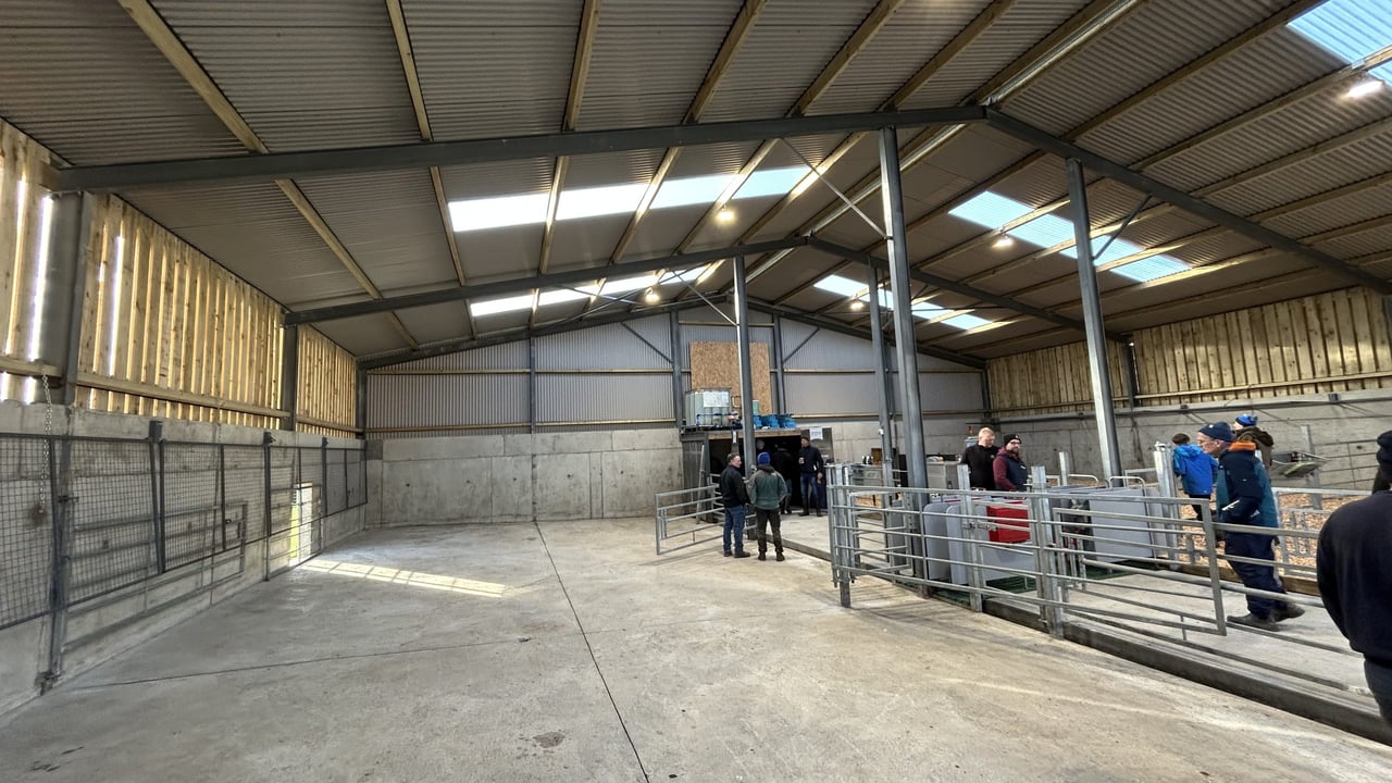 Laying the groundwork for a successful spring-calving