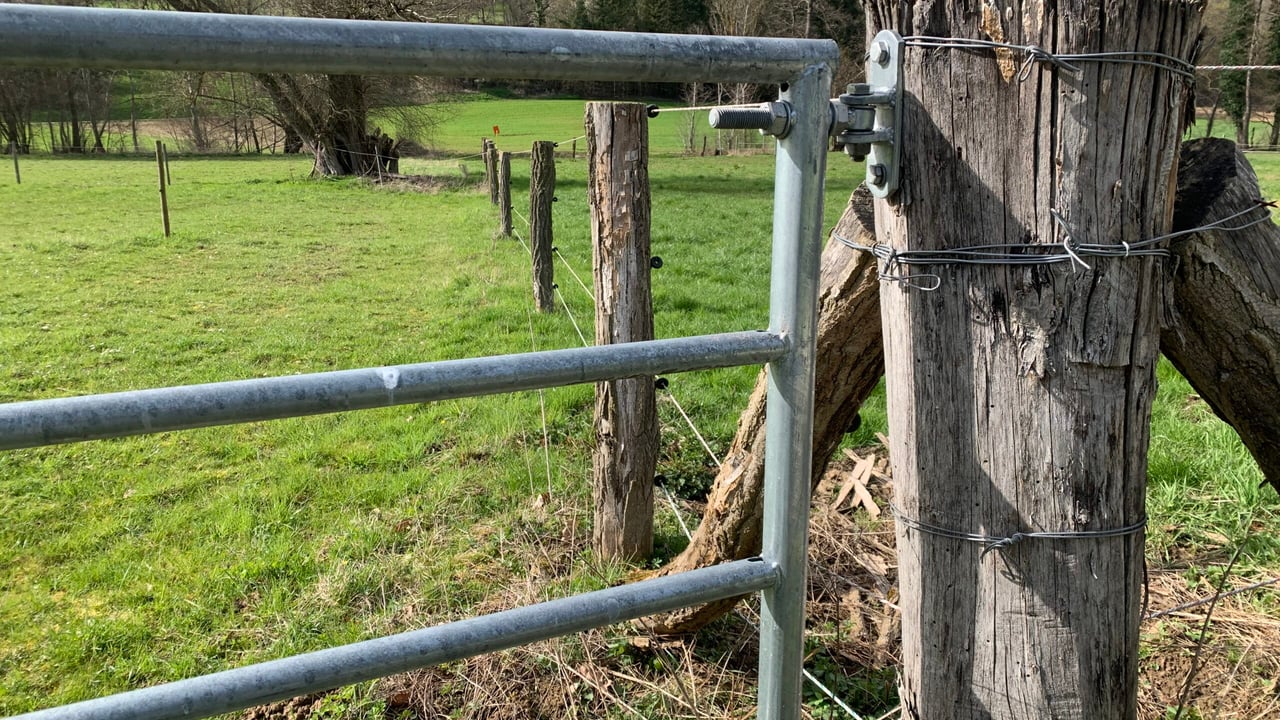 DAERA boosts security for staff after Tyrone cattle cull