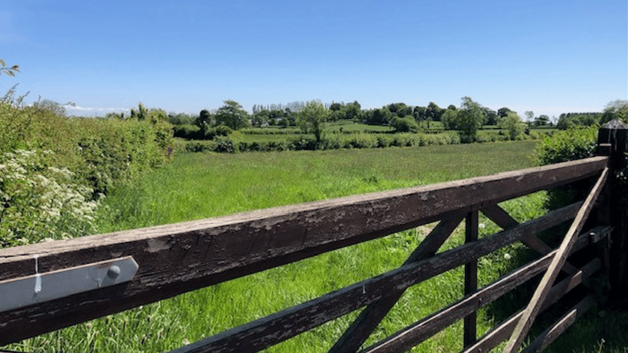 NI MP claims Tyrone cattle cull ‘one of biggest DAERA scandals’