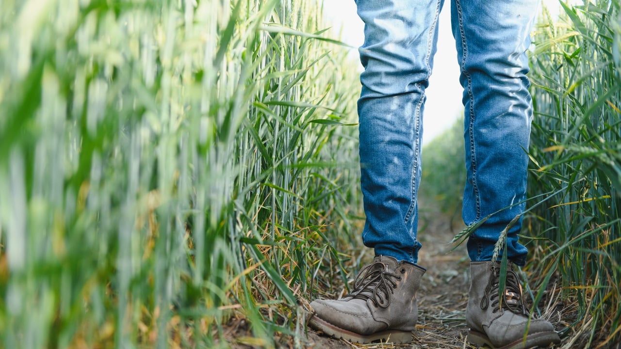 Farmers urged to take part in new farm safety survey