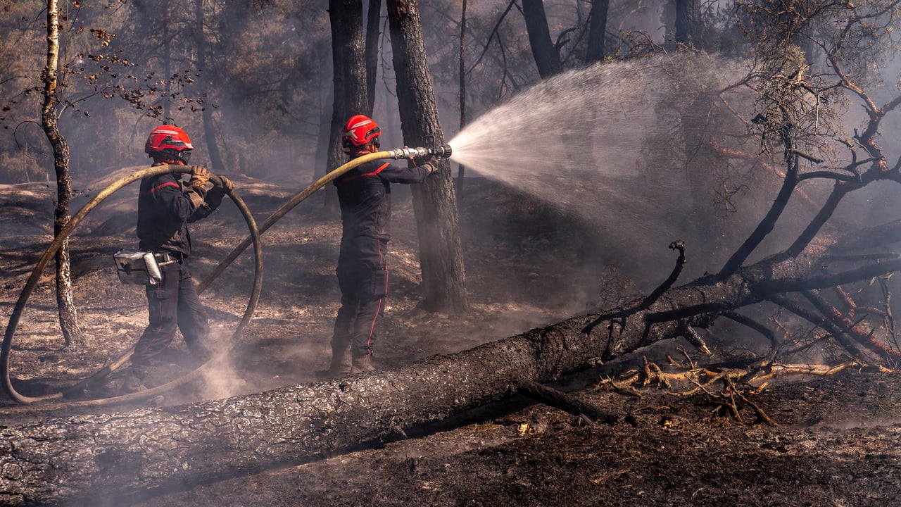 France commits €1bn in farmer support in wake of heatwaves