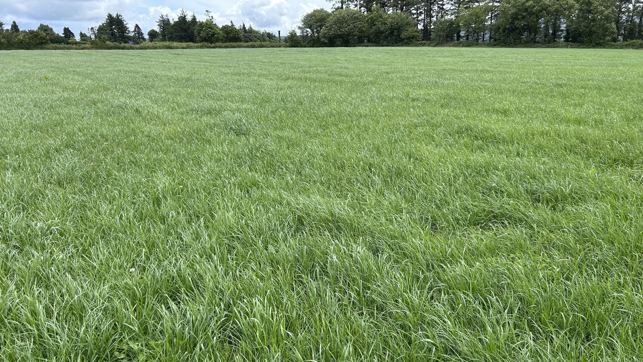 Germinal announces £5m investment in grass seed site in England