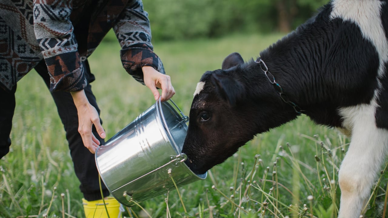 Trouw Nutrition unveils Ireland ‘operational and delivery model’
