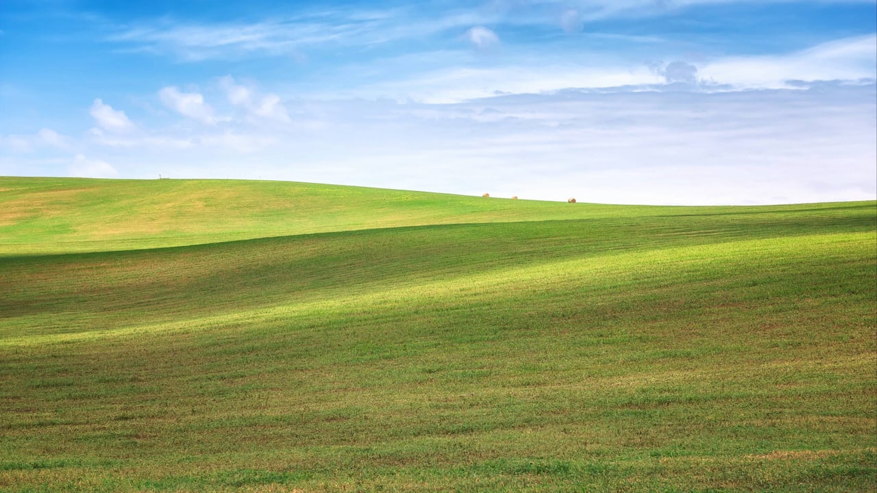 Sustainable livestock farming to be a key focus at Future Grassland 2026
