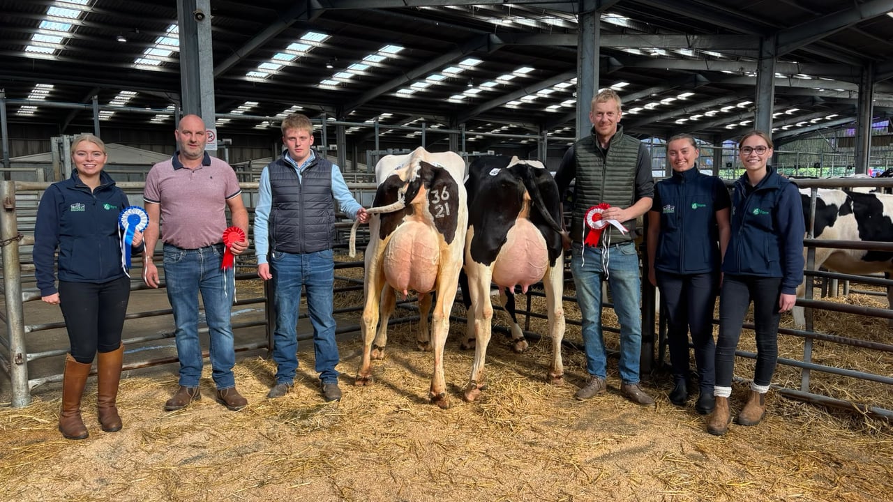 Champion Scottish herd sees heifer sell for 3,700gns