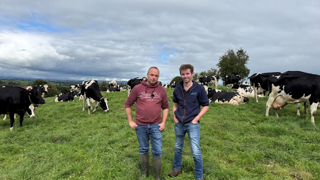 Farmers to share carbon cutting success stories at Dairy Conference 2026