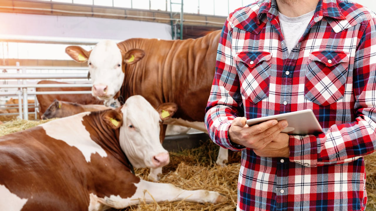 AI is changing farming: Are farmers asking the right questions?