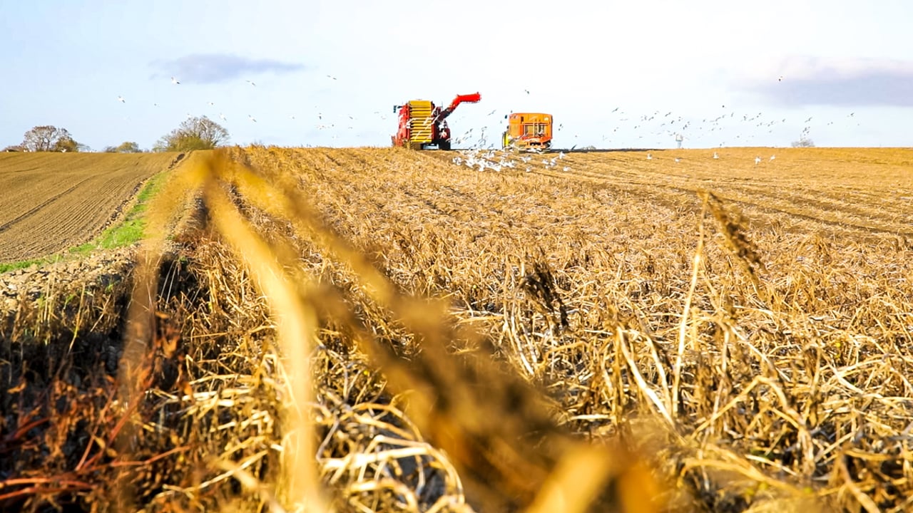 Scale of European crop losses following 2026 drought confirmed