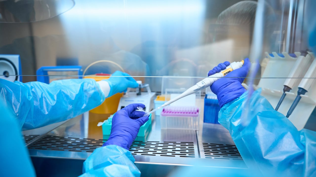 Livestock disease Shamonda detected for the first time in a human who died