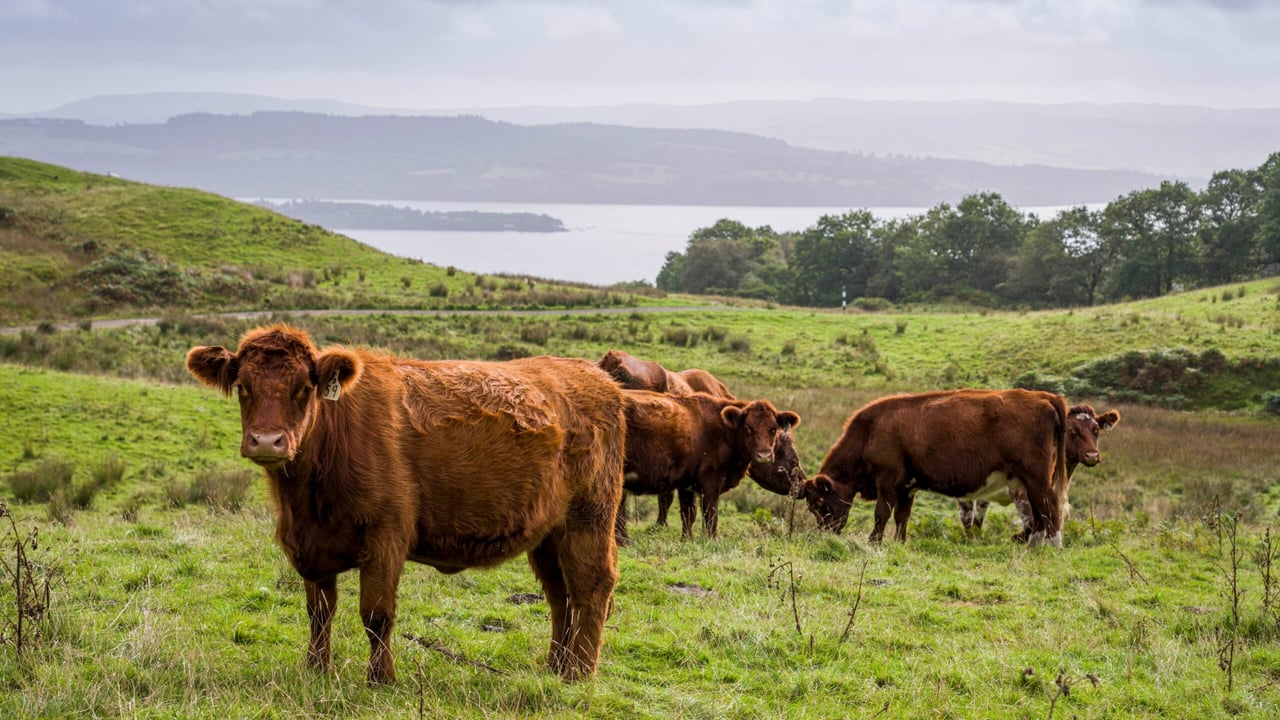 Scottish farms pilot climate-resilience programme in National Park