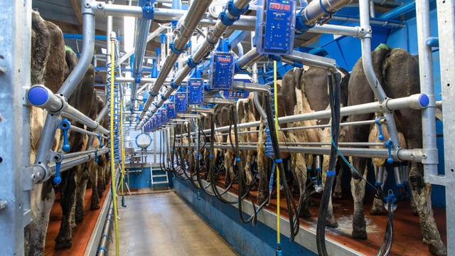 Promoting efficiency and hygiene in the parlour
