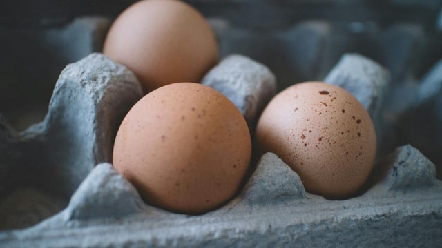 Concerns raised over potential impact of ‘cheap egg imports’ into UK