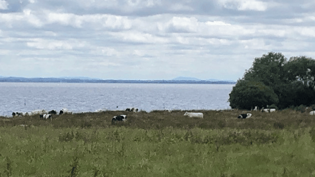 DAERA announces £380,000 in funding to improve water quality