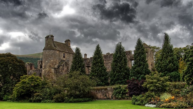 Falkland Estate slaughters 271 ‘untraceable cattle’ after investigation