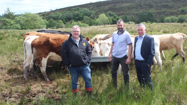 Rising cost of NI Farm Sustainability Payment entitlements criticised