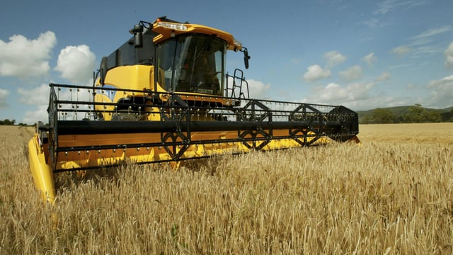 EU cereal harvest drops due to summer drought