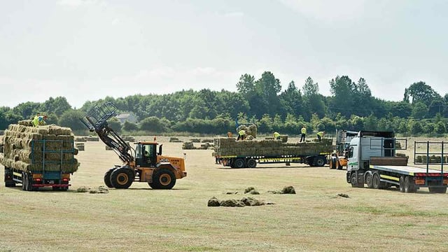 Stunning Coolmore Farm, hay harvest facts 2013