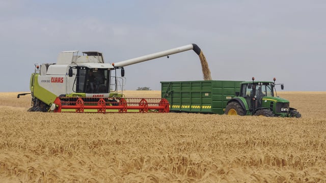 World cereal production forecast up 22m tonnes on July figures – FAO