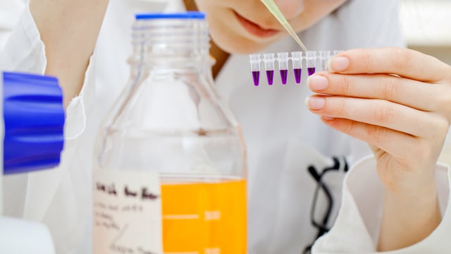 ‘Antimicrobial resistance is putting human and animal health in danger’