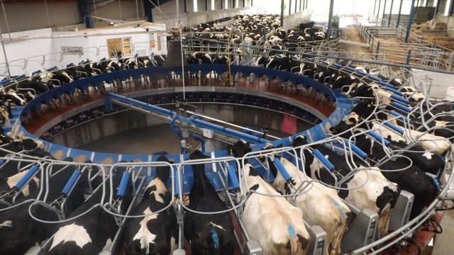 Major milk price drop announced for December 