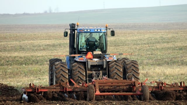 EU cereal plantings up, but prices remain at ‘rock bottom’