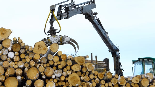 BSW Group announces takeover of Dick Brothers Forestry