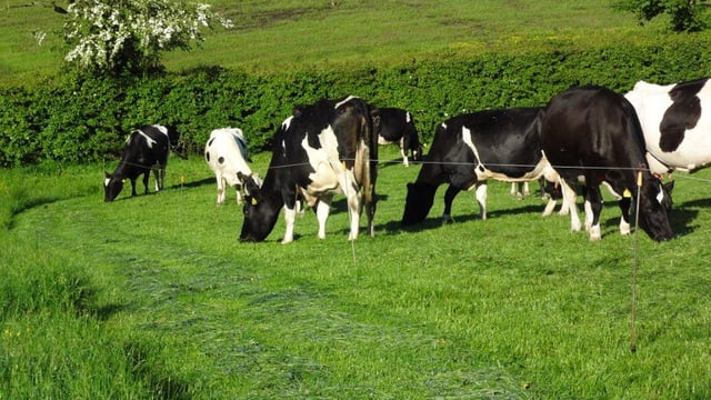 1000 herds signed up for Johne’s pilot programme